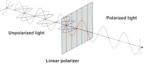 Endüstriyel Polarize Kameralar Görüşü Değiştiren Teknoloji
